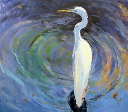 white heron