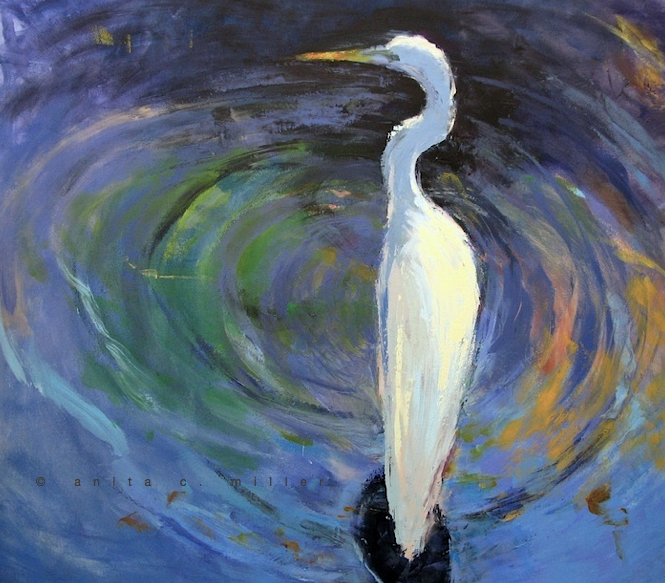 white heron
