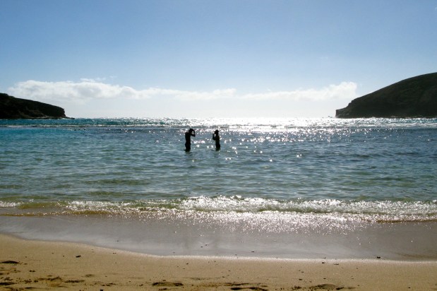 Hanauma Bay snorkelers