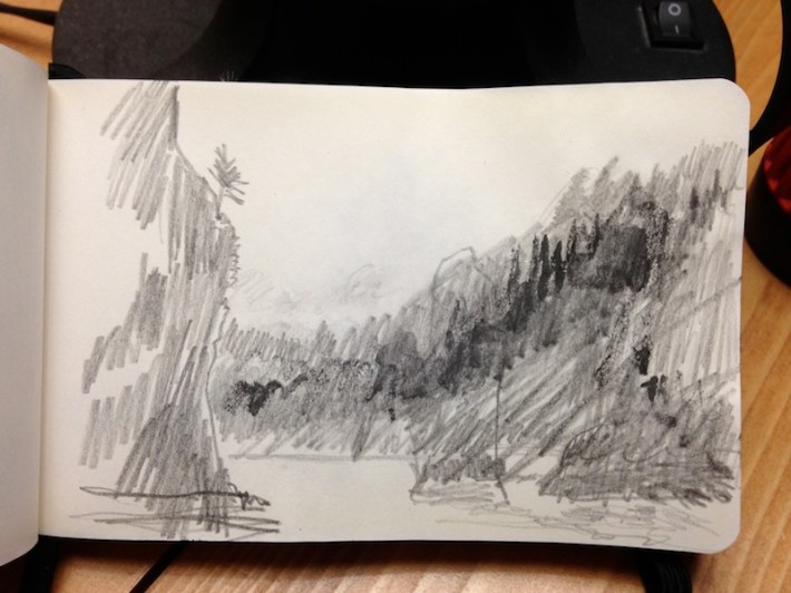 a lone tree -- there were lots of puffins flying around here, too!