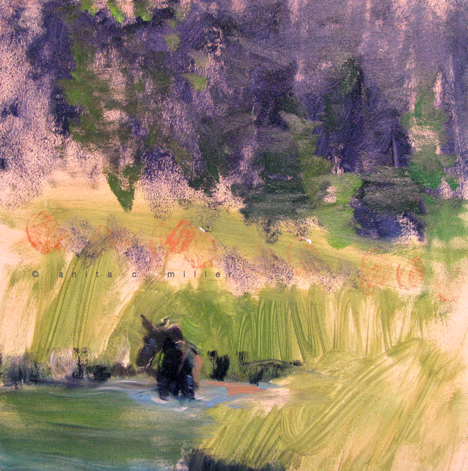 wilderness 3 (moose)