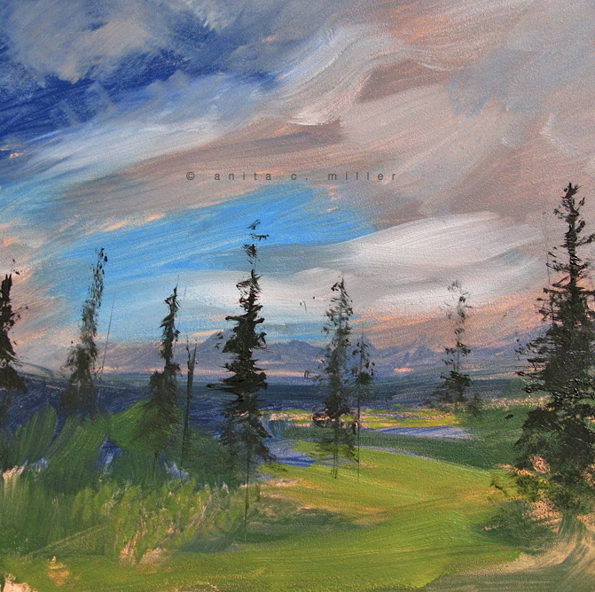 wilderness with black spruce