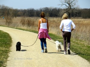 reference photo -- as you can see, I decided to leave out the second figure